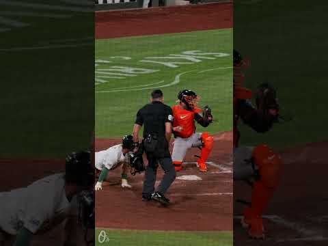 Beavers guns 'em down at the plate 🔥