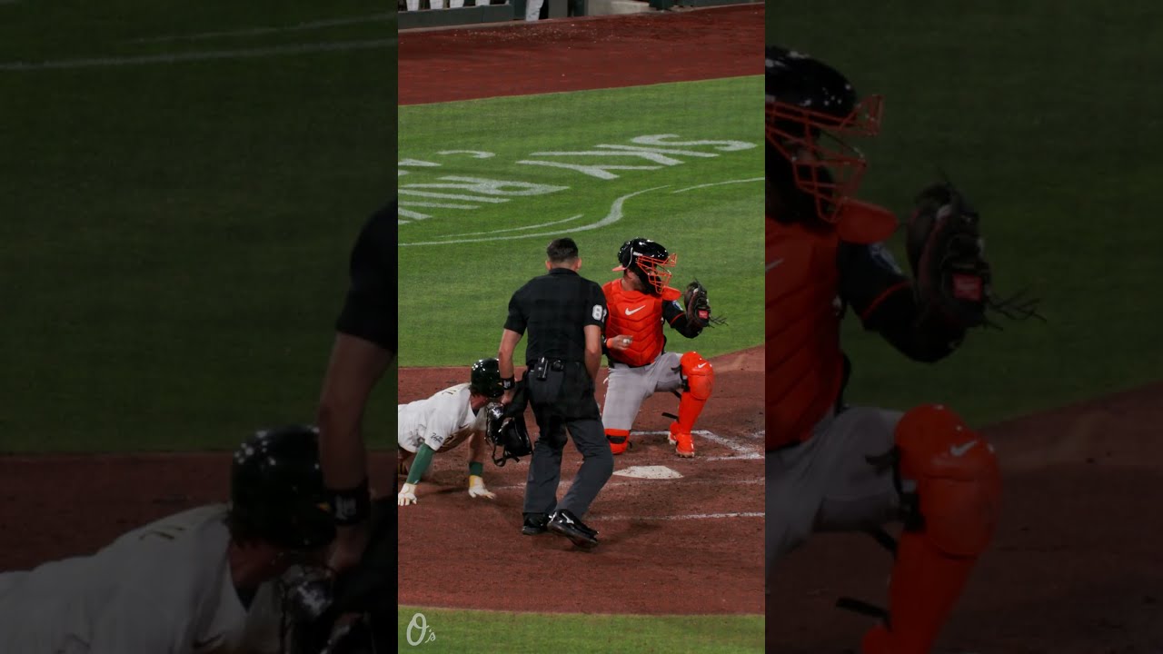 Beavers guns 'em down at the plate 🔥