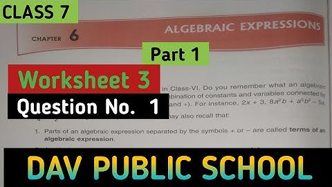 DAV Class 7 Maths Chapter 6 Worksheet 3 || Algebraic Expressions || @madhubanclasses