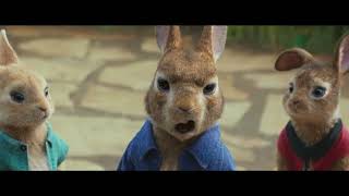 Pierre Lapin Pub Télé - Contre