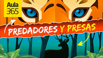 ¿Qué funciones cumple un depredador y una presa?