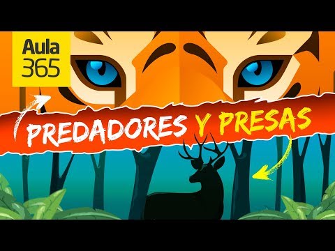 Vídeo: Diferencia Entre Depredador Y Presa