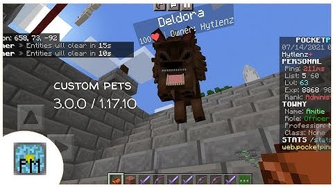 Custom Pets Plugin | PocketMine-MP