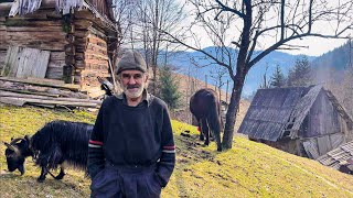 Тяжке життя у гірському селі: Історія самотнього трудівника Василя