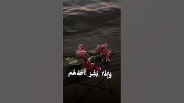 القارئ: عبدالرحمن مسعد /سوره: النحل الايه[57~58] #قرآن #اجر_لي_وللمسلمين