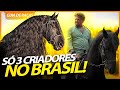 FRIESIAN, UM CAVALO QUE QUASE FOI EXTINTO! | RICHARD RASMUSSEN