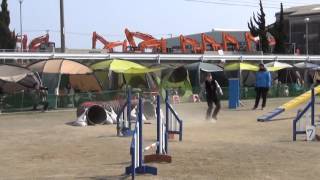 20140309　ミント２度ＡＧ