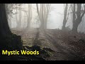 Mystic Woods - Short film of a misty morning in Epping Forest