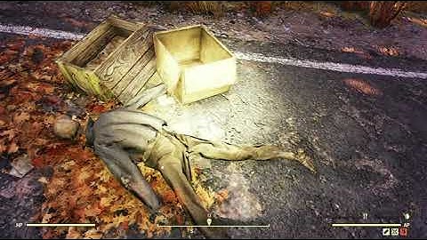 The Forest Region Scene Random Encounter Hotspot #03 - Fallout 76