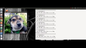 Dogs vs Cats classification using Deep Neural Networks