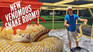 Venomous Snake Room Unveil!