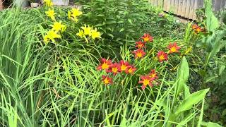 Plants That Thrive in Extreme Heat