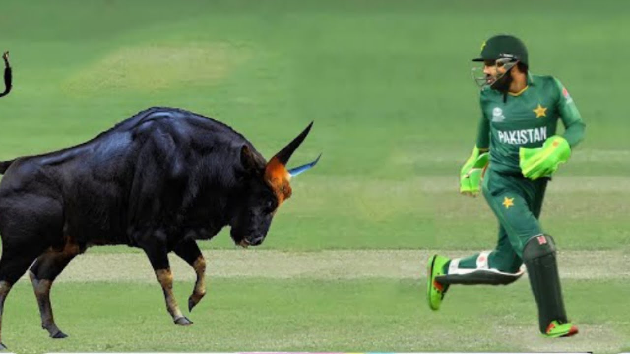 Top 10 Rare moments in cricket history ||#cricket #viral - YouTube