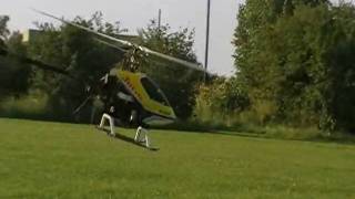 Trex 500 first time inverted