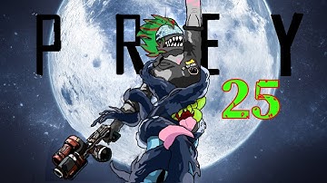 Prey #25 Coral Scanning