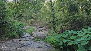 Listening to the sound of water, which helps reduce insomnia and stress, Stream water sounds asmr