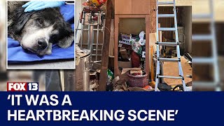 9 dogs rescued from Washington state home after owner found dead