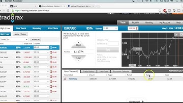 binary options auto trading software