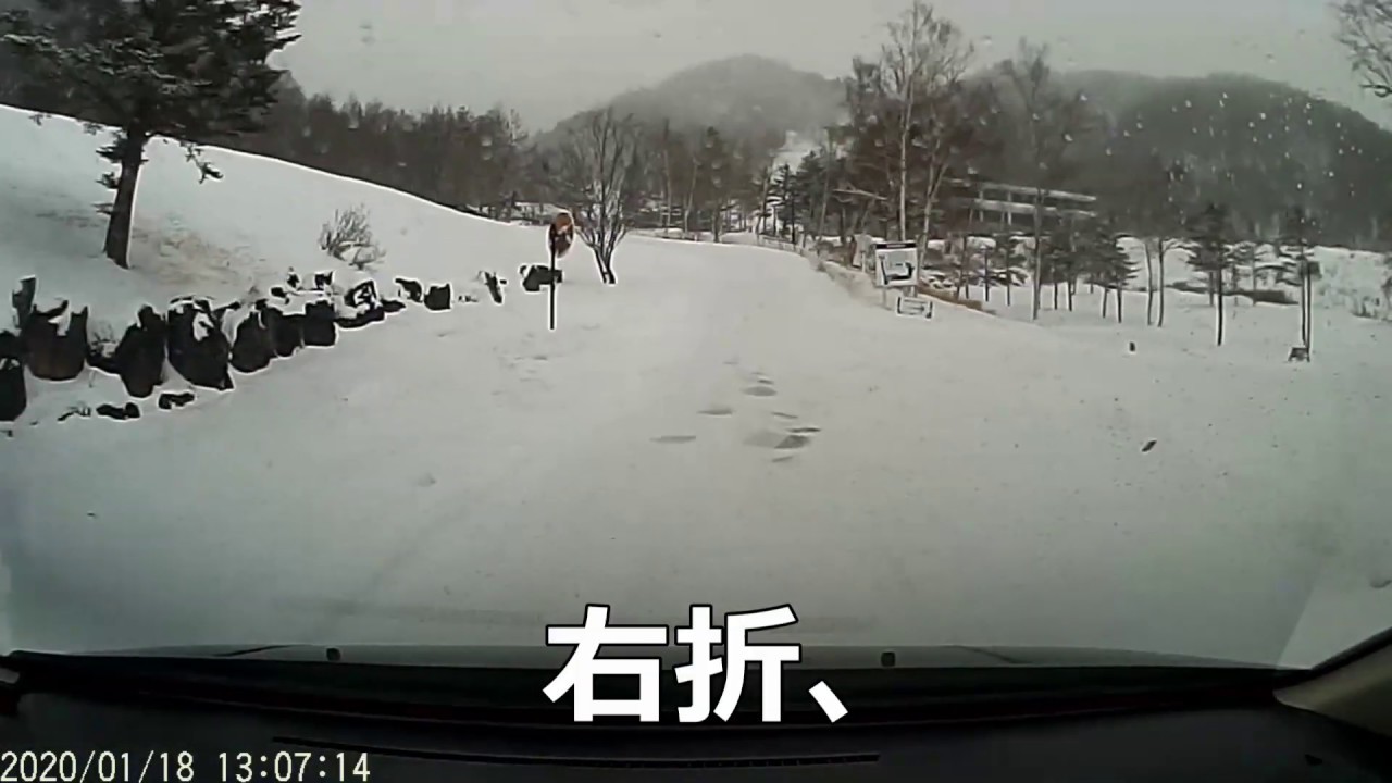 ヨコハマジオランダーg015 km摩耗で滑る Youtube