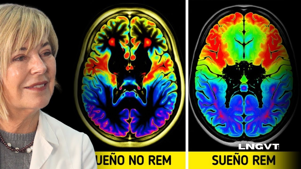 Ritmos Circadianos: Claves Prácticas Para Tener Un Sueño Reparador
