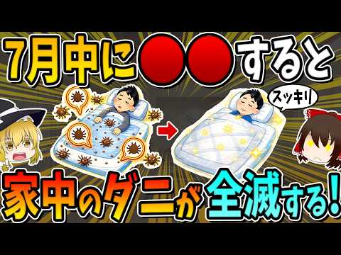 【害虫対策】夏の7月に○○やるだけで家中のダニが全滅します！