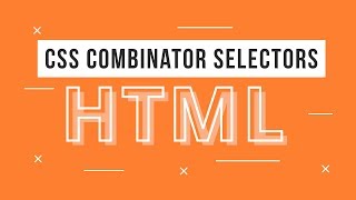 Celebrity CSS Combinator Selectors Tutorial - Learn HTML to build responsive website - 13 Wealth