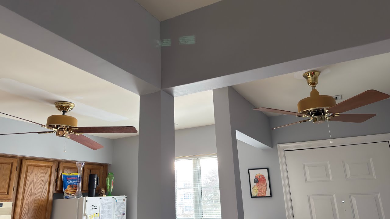 Gear-Driven Ceiling Fans - Blades Swapped (Panama & CM Electronics)