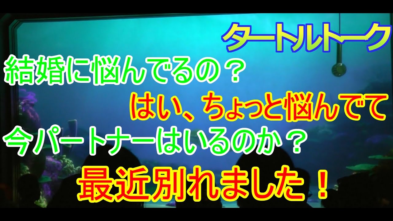 結婚に悩むゲスト 最近別れました タートルトーク 東京ディズニーシー Youtube