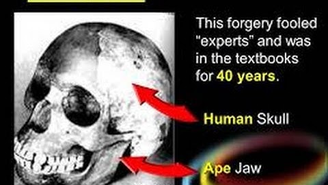 Fossil missing link Fraud Piltdown Man.