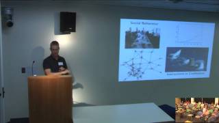 SyPy Lightning Talks - February