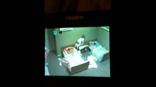 Night One With The Big Girl Beds