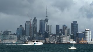 Auckland Harbour Morning 4K