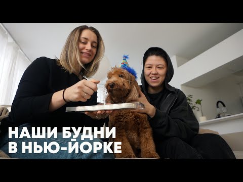 Видео: МЕСЯЦ из жизни в НЬЮ-ЙОРКЕ: друзья, мероприятия, распаковки