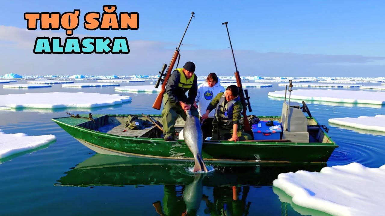 Cuộc Sống Hoang Dã Ở Alaska - Săn Thú Để Tồn Tại
