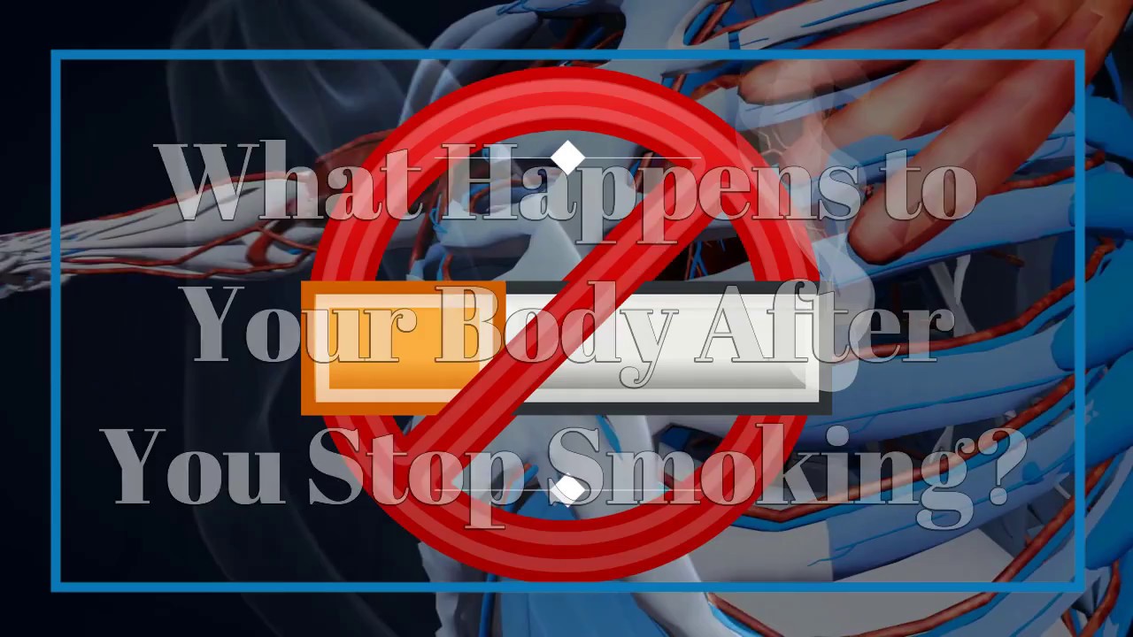 What Happens to Your Body After you Stop Smoking? - YouTube
