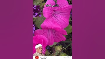 عبد الباسط عبد الصمد .. مقطع من سورة الحج