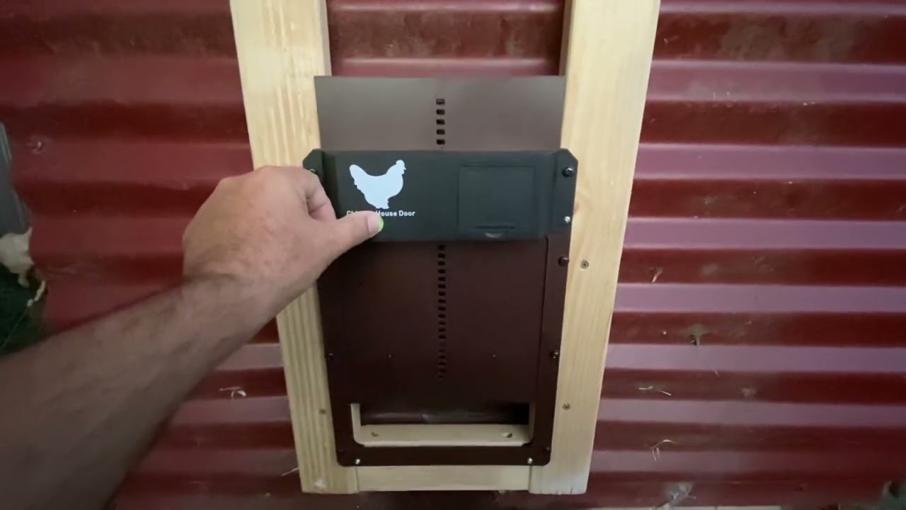 Cheap Automatic Chicken Door