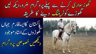 Learn Horse Riding. Horse Training For Ridinghorse Riding Techniques Thoroughbred