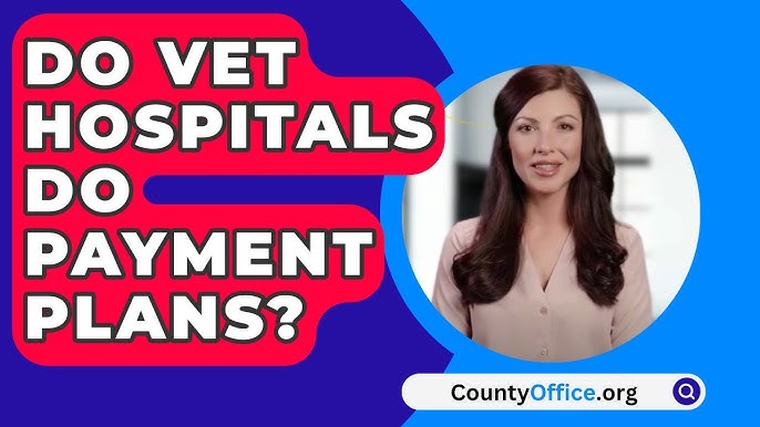 What Vets Do Payment Plans near Me: Affordable Options