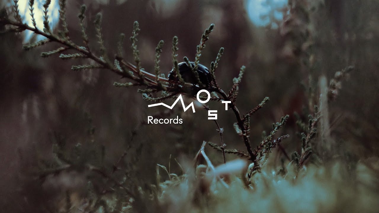 Seltron 400 - Otwórz Oczy