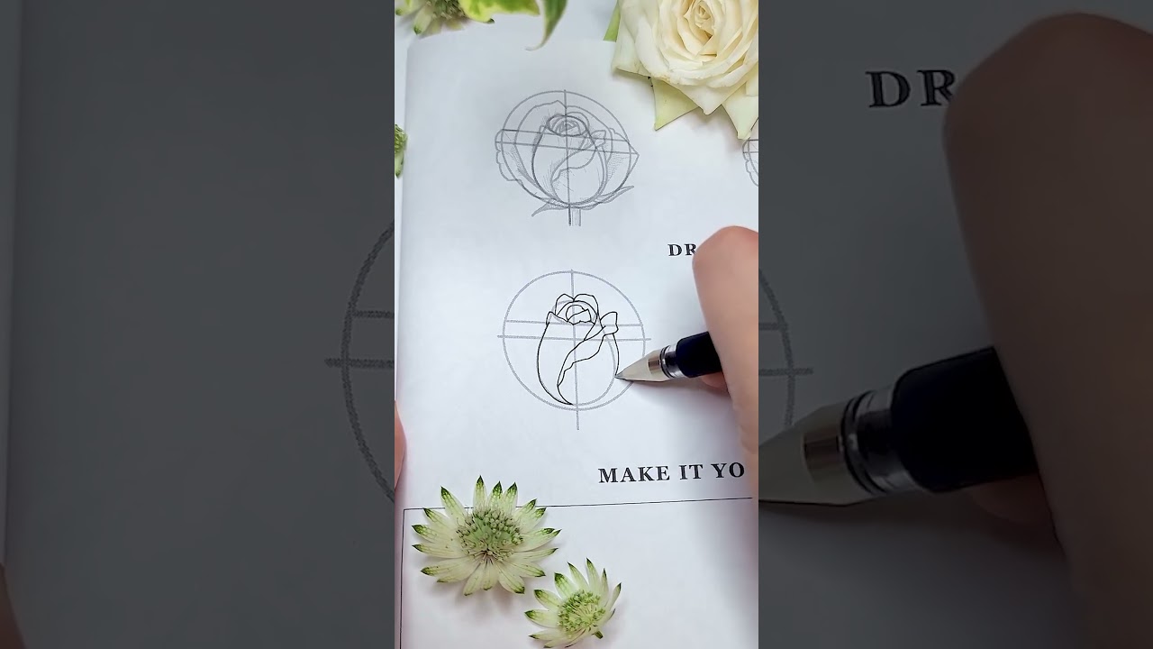 Нарисуйте бутон розы вместе со мной ✨🌹