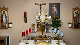 LIVE Eucharistic Adoration - Sisters of Divine Mercy