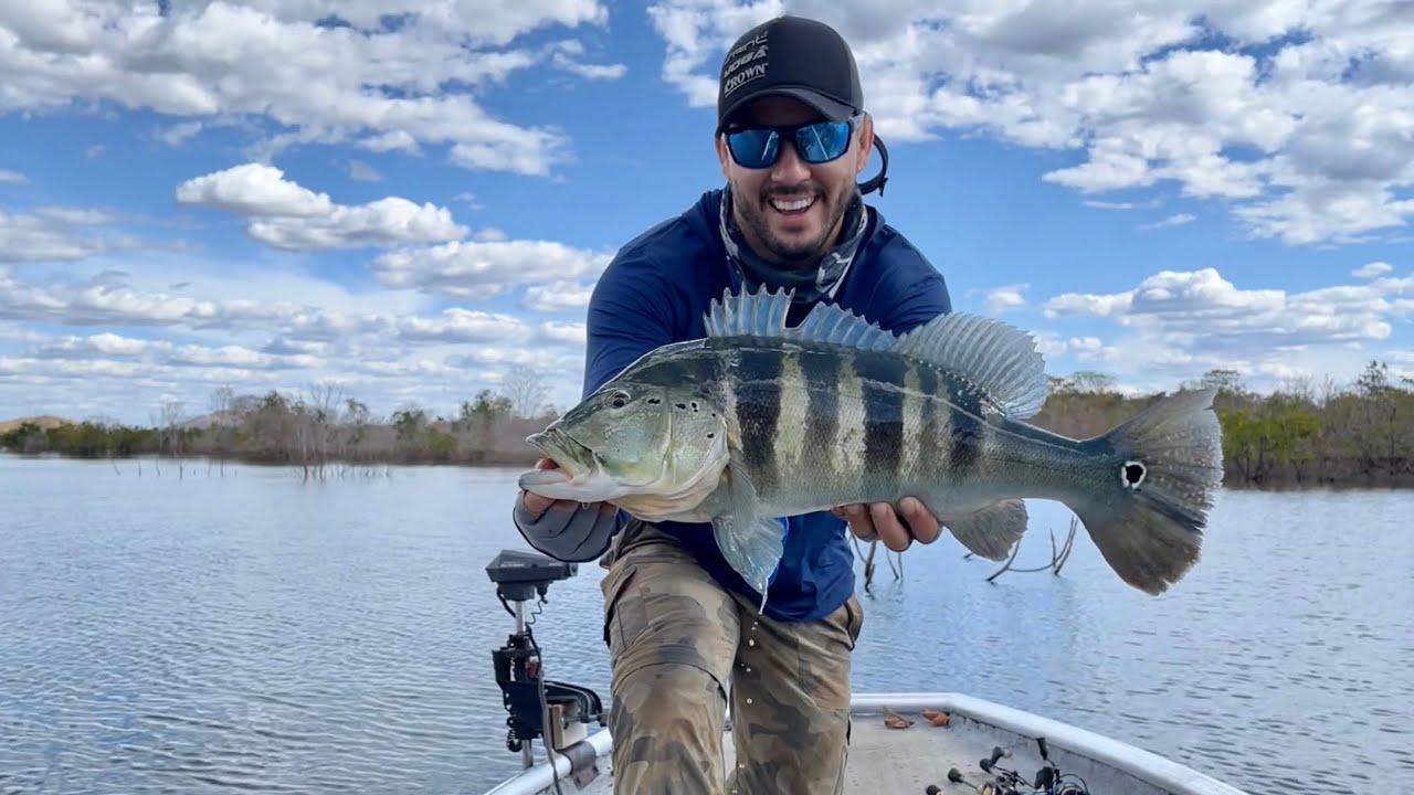 Segundo dia de expedição em Serra da Mesa. Os peixões começaram a sair.