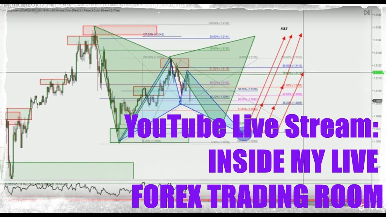Live forex trading room