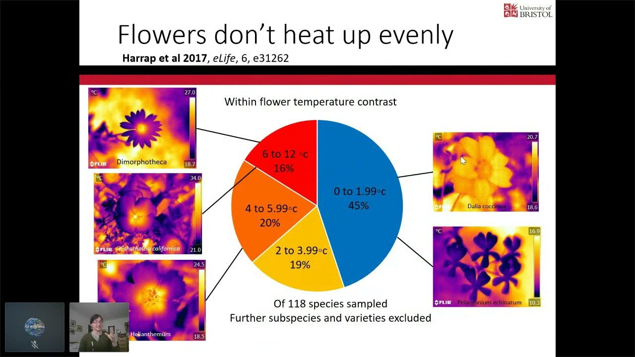 S3E5 Anna Stöckl and Michael Harrap - Pollination: A Curious Case of Cross-Kingdom Cooperation