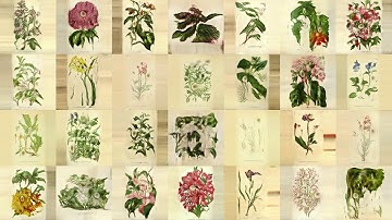 StyleGAN 12 hour frames