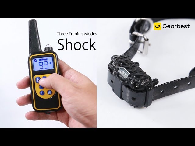 waterproof shock collar