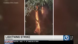 Lightning strikes tree in Coventry