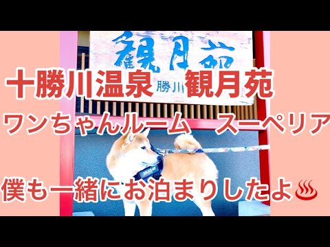 十勝川温泉　観月苑でお泊まりしたよ♨️😃