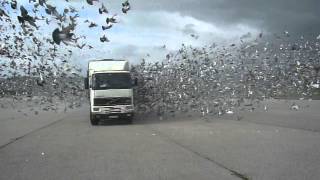 Solta em Santarém, 22/02/2014